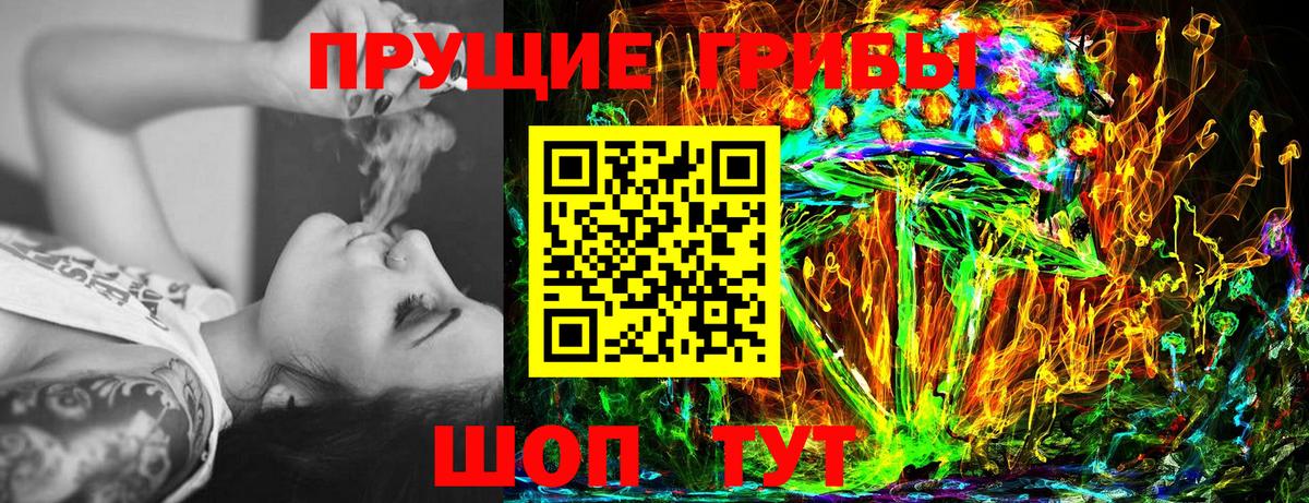 Псилоцибиновые грибы Psilocybine cubensis Нефтекамск